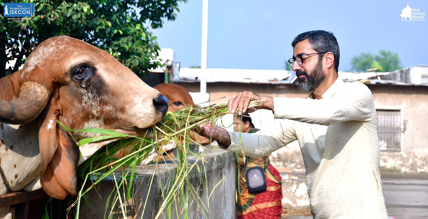 Gau Seva
